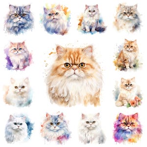 32 Persian Cat PNG Clipart Bundle, Watercolor Long-Haired Persian Cat Breed Sublimation, Persian Kitten Image, Flat-Faced Cat Commercial Use