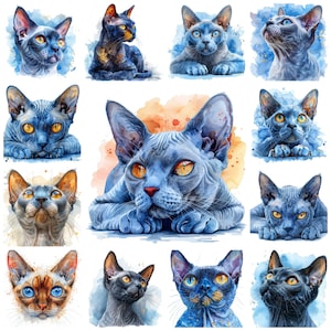 43 Sphynx Cat Breed PNG Clipart, Watercolor Hairless Cat Sphynx Illustration, Canadian Sphynx Images, Exotic Cat Pictures, Commercial Use