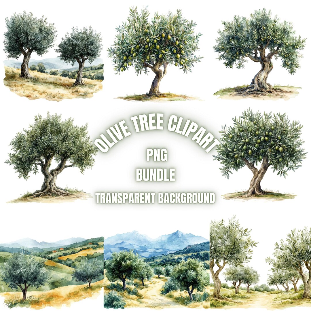 Olive Tree PNG Clipart Bundle, Watercolor Olive Tree Illustration ...