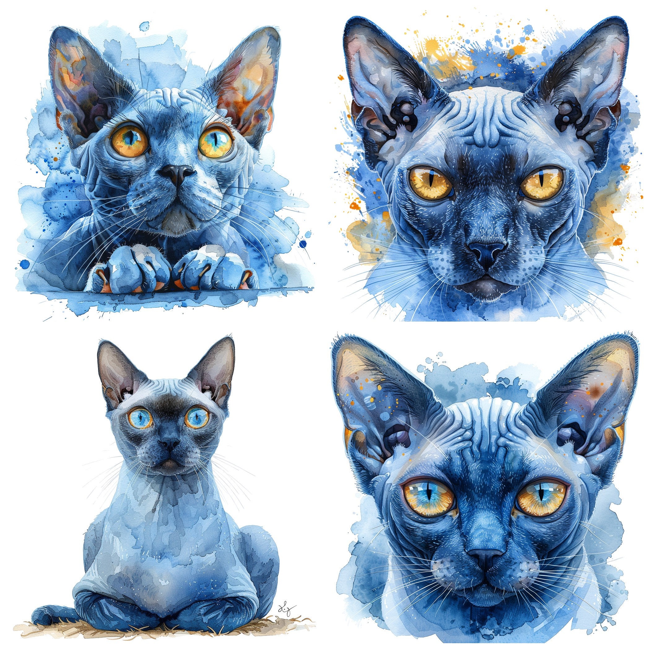 43 Sphynx Cat Breed PNG Clipart, Watercolor Hairless Cat Sphynx ...