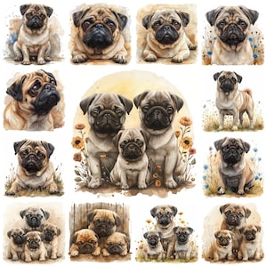 26 Pug Dog Breed PNG Clipart, Watercolor Cute Pug Family Illustration, Pug Pet Portrait Images, Pug Artwork Picrures, Commercial Use Clipart