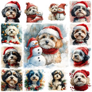 25 Weihnachten Havaneser Hund PNG Clipart, Aquarell Weihnachten Havaneser Hunderasse Illustration, Festliches Havaneser Hunde Porträt, kommerzielle Nutzung