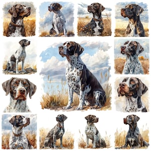 45 Braco Alemán PNG Clipart, Ilustración Transparente De Raza De Perro De Caza En Acuarela, Imagen De Retrato De Perro Braco, Uso Comercial