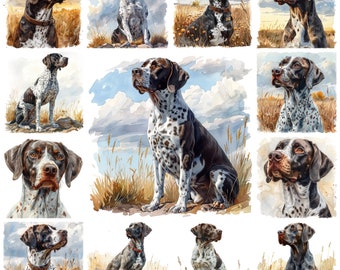 45 German Shorthaired Pointer PNG Clipart, Watercolor Hunting Dog Breed Transparent Illustration, Pointer Dog Portrait Image, Commercial Use