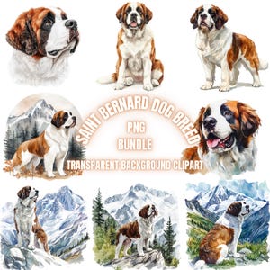 Saint Bernard Dog Breed PNG Clipart Bundle | Watercolor Saint Bernard Dog Portrait Illustration, Pet Lover Printable Art, Commercial Use