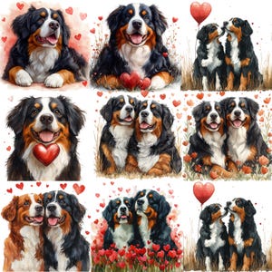Valentinstag Berner Sennenhund PNG Clipart Bundle, Aquarell Valentinstag Berner Sennenhund Bilder, kommerzielle Nutzung