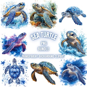 Meeresschildkröte PNG Clipart-Bundle, Aquarell Meeresschildkröte Illustration, Kindergarten amerikanische Meeresschildkröte Bilder, Schildkröte Sublimation, kommerzielle Nutzung