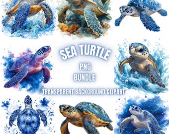 Sea Turtle PNG Clipart Bundle, Watercolor Sea Turtle Illustration, Nursery American Sea Turtle Images, Turtle Sublimation, Commercial Use