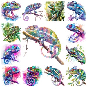 23 Watercolor Chameleon PNG Clipart, Color-Changing Lizard Chamaeleons Illustration, Colorful Replite Chamaeleons Nursery, Commercial Use