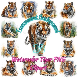 Tiger PNG Clipart, Watercolor 28 Wild Tiger Illustration, Big Cat Tiger Art Transparent Background PNG Image, Commercial Use