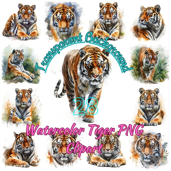 Tiger PNG Clipart, Watercolor 28 Wild Tiger Illustration, Big Cat Tiger Art Transparent Background PNG Image, Commercial Use