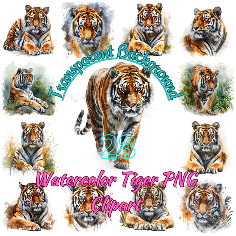 May include: A set of 28 watercolor tiger clipart images with transparent backgrounds. The tigers are in various poses, including walking, sitting, and lying down. The images are perfect for use in digital scrapbooking, card making, and other craft projects.