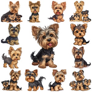 Cartoon Yorkshire Terrier PNG Clipart, 33 Entzückende Yorkshire Terrier Illustration, animiertes Yorkie Bild, niedliches Yorkie Drawin kommerzielle Nutzung