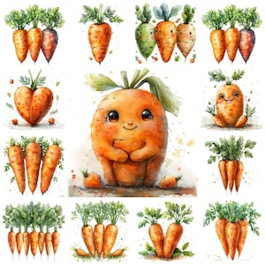 Watercolor Carrot PNG Clipart, 43 Orange Vegetable Carrot Transparent BG Illustration, Nursery Carrot Images, Commercial Use