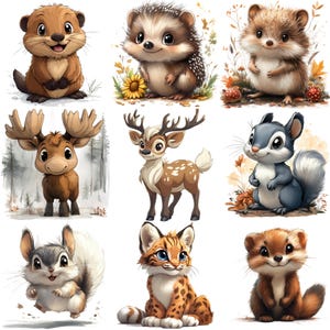 63 Cartoon Woodland Animals PNG Clipart Bundle, Deer, Squirrel, Chipmunk, Fox, Raccoon, Skunk, Rabbit, Lynx, Beaver, Groundhog Bear and More