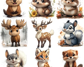 63 Cartoon Woodland Animals PNG Clipart Bundle, Deer, Squirrel, Chipmunk, Fox, Raccoon, Skunk, Rabbit, Lynx, Beaver, Groundhog Bear and More