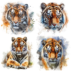 May include: Four watercolor paintings of tigers. Each tiger is depicted in a different pose, with a watercolor background of splashes and splatters.
