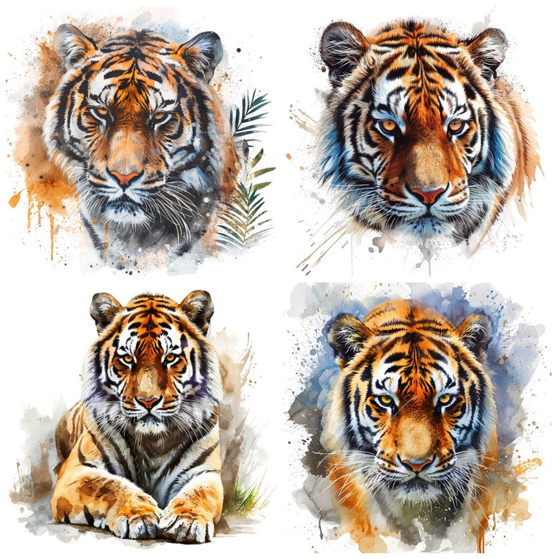May include: Four watercolor paintings of tigers. Each tiger is depicted in a different pose, with a watercolor background of splashes and splatters.