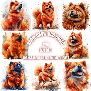 Chow Chow Dog Breed PNG Clipart Bundle | Watercolor Dog Portrait Transparent Background Illustration Pet Lover Printable Art, Commercial Use