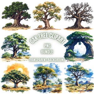 40 Baobab Tree PNG Clipart Bundle, Watercolor Baobab Tree Illustration, Tranparent Background Sublimation Pack, Commercial Use