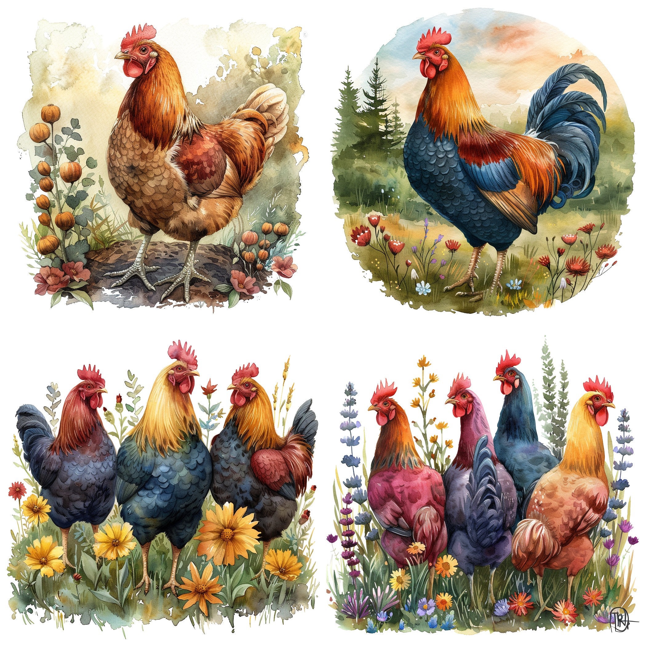30 Watercolor Chicken PNG Clipart, Farm Hen Scenery Images, Floral ...