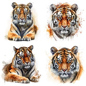 May include: Four watercolor paintings of tigers with orange and black stripes. The tigers are looking directly at the viewer. The paintings are set against a white background with watercolor splatters.