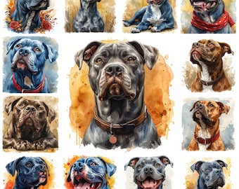 36 Pitbull Dog Breed PNG Clipart Bundle, Watercolor Pit bull Transparent Background Illustration, American Pit Bull Terrier, Commercial Use