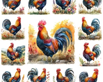 Watercolor Rooster Clipart, Farm Animal Illustrations (PNG Digital Download)