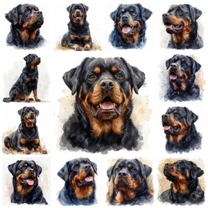35 Rottweiler PNG Clipart, Watercolor Rottweiler Dog Breed Illustration, Rottie Pet Portrait Transparent Background Images, Commercial Use