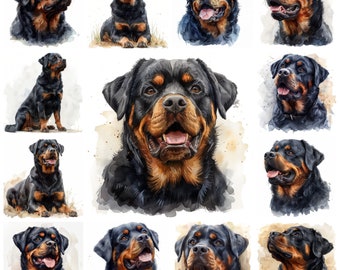 May include: A collection of ten watercolor paintings of Rottweiler dogs in various poses. The dogs are depicted in a realistic style with detailed fur and expressive eyes. The paintings are set against a white background.