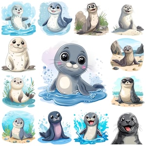 Paquete de 40 imágenes prediseñadas de focas adorables, ilustración de foca divertida de dibujos animados, dibujo de foca juguetona y linda, imagen de foca bebé, foca tonta, uso comercial
