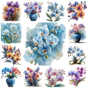 Orchid Plants PNG Clipart, Watercolor 32 OrchidaceaeTransparent BG Floral Illustration, Phalaenopsis Orchid Flower Images, Commercial Use