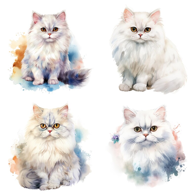 32 Persian Cat PNG Clipart Bundle, Watercolor Long-haired Persian Cat ...