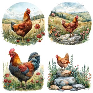 May include: Four watercolor paintings of chickens in different poses and settings. The chickens are brown, red, and black with colorful plumage. The backgrounds are lush green with flowers and rocks.