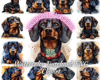 35 Dachshund Dog Breed PNG Clipart, Watercolor Sausage Dog Dachshund Transparent Background Illustration, Wiener Dog Image, Commercial Use