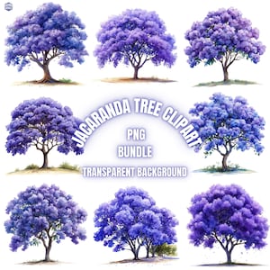 Jacaranda Tree PNG Clipart Bundle, Illustrazione di un albero ad acquerello, Pacchetto di sublimazione di sfondo trasparente di Jacaranda Tree, Uso commerciale