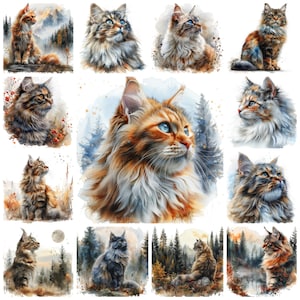 Norwegian Forrest Cat Breed PNG-clipart, aquarel 35 Noord-Europese kattenillustratie Norwegian Forrest Fluffy Cat-afbeeldingen, commercieel gebruik