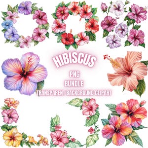 39 Hibiskus PNG Clipart-Bundle, Aquarell Hibiskusblüte Illustration, Hibiskusblüten Kunstbilder, Hibiskuskranz Grenze, kommerzielle Nutzung