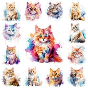 Paquete de 37 imágenes prediseñadas de gato Ragdoll PNG, sublimación de la raza de gato Ragdoll de ojos azules en acuarela, ilustración de gatito Ragdoll, uso comercial