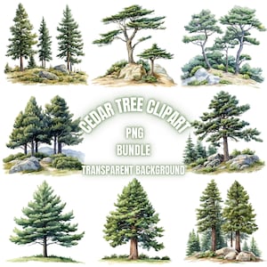 Cedar Tree PNG Clipart Bundle, Watercolor Cedar Tree Landscape Illustration, Tranparent Background Sublimation Pack, Commercial Use