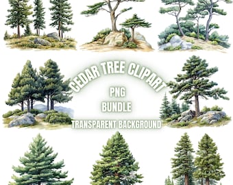 Pakiet clipartów PNG z drzewem cedrowym, ilustracja krajobrazu z drzewem cedrowym w akwareli, pakiet sublimacji z przezroczystym tłem, do użytku komercyjnego