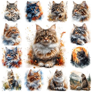 28 Maine Coon PNG clipart bundel, aquarel grote kattenras pluizige Maine Coon illustratie, langharige kat kaarten maken, commercieel gebruik