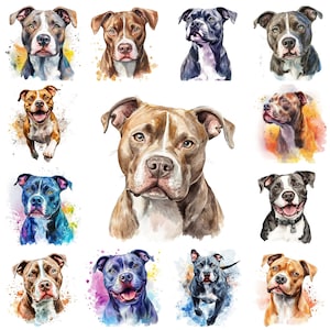 50 American Pitbull Terrier PNG Clipart Bundle, Watercolor American Pitbull Terrier Transparent Background Images, Commercial Use