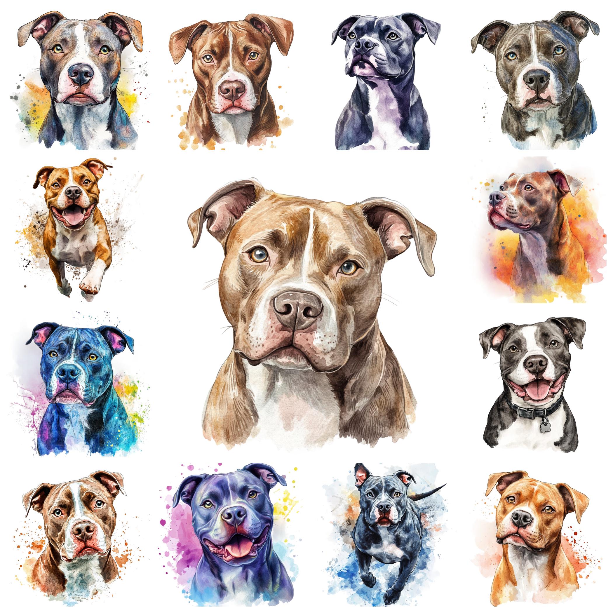 Cartoon Pitbull Canada