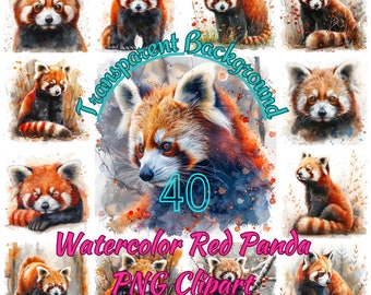 40 Watercolor Red Panda PNG Clipart, Fluffy Panda Images, Wild Cutie Red Panda Transparent Background PNG Illustration, Commercial Use