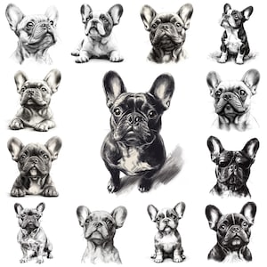 30 Pacote de clipart PNG de buldogue francês desenhado à mão, ilustração detalhada de esboço de buldogue francês, imagens de filhotes de cachorro francês, PNGs de uso comercial