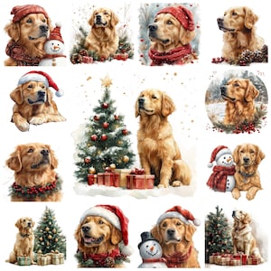 36 Pacchetto di clipart PNG di Golden Retriever di Natale, illustrazione di razza di cane Golden Retriever di Natale ad acquerello, immagine di cane festivo, uso commerciale