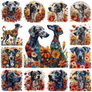 22 種類の花柄グレイハウンド犬種の PNG クリップアート バンドル、水彩画のグレイハウンドと花のペットの肖像画イラスト、犬の写真、商用利用