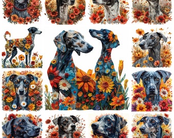 Paquete de 22 imágenes prediseñadas PNG de la raza de perro galgo con flores, ilustración de retrato de mascota galgo con acuarela y flores, imágenes de perros, uso comercial