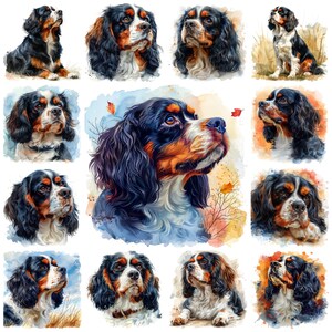 Cavalier King Charles Spaniel Dog Breed PNG Clipart, Watercolor 39 Cavalier King Charles Spaniel Pet Portrait Illustration, Commercial Use